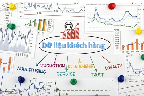 Phân tích dữ liệu khách hàng - Chìa khóa tăng trưởng doanh thu cho phòng khám nha khoa