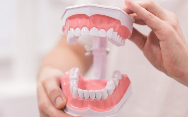 Sơ đồ răng: cách đọc ký hiệu và vị trí từng răng